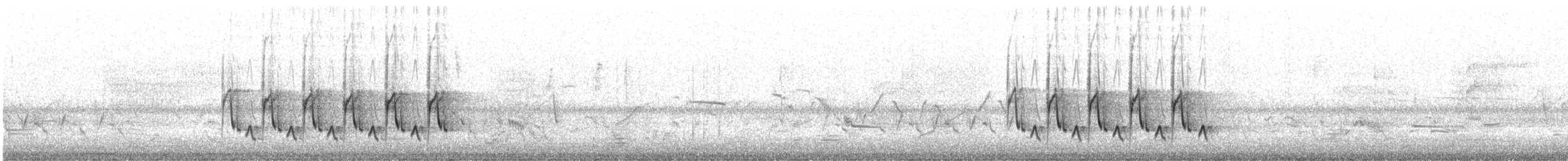 Каролинский крапивник [группа ludovicianus] - ML620420119