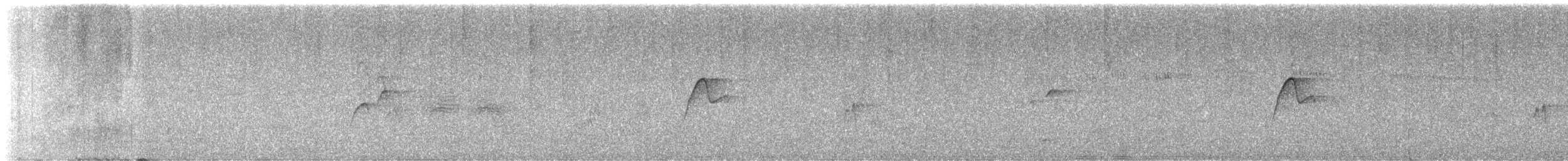 Batı Amerika Sinekkapanı (occidentalis/hellmayri) - ML620420341