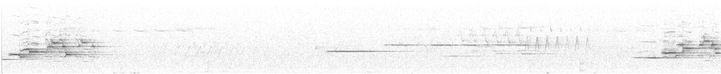 Hermit Thrush (faxoni/crymophilus) - ML620420875