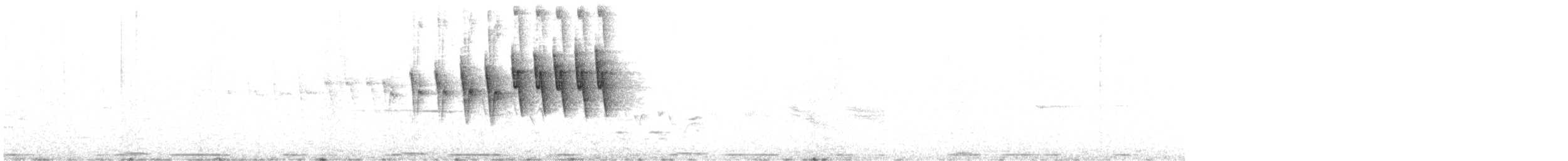 Малая вильсония - ML620421948