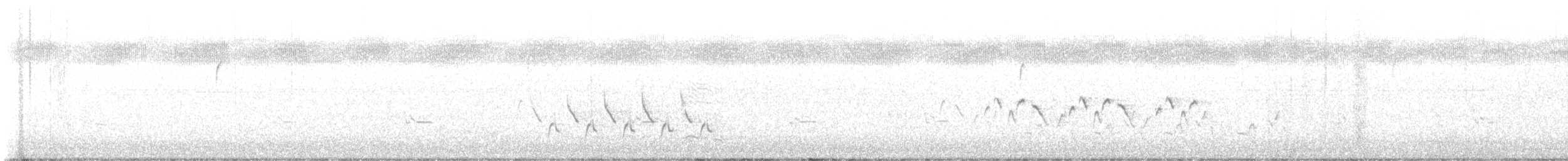 Common Yellowthroat (trichas Group) - ML620423126