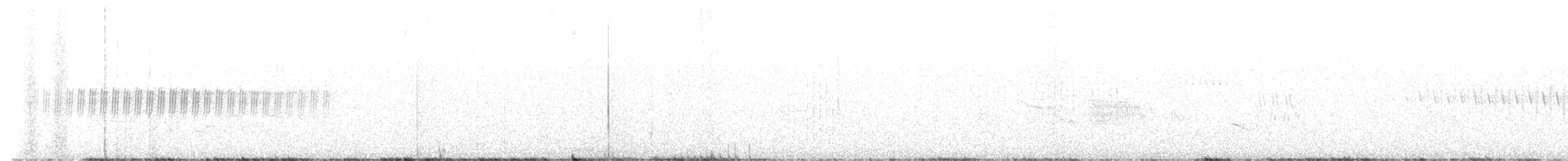 vinterjunko (oreganus gr.) - ML620423894