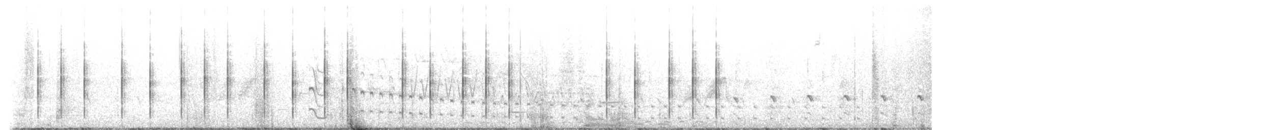 Polluela Amarillenta - ML620425187