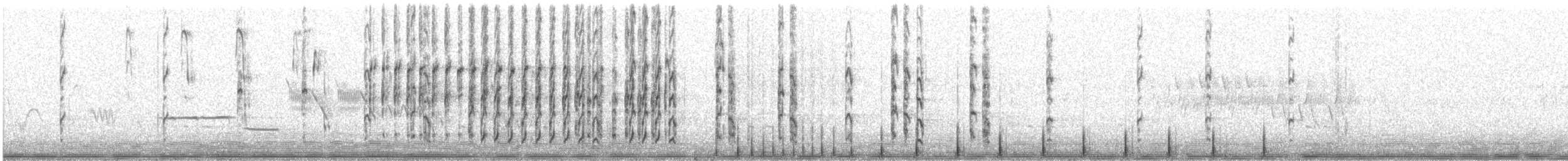 Lewis's Woodpecker - ML620426397