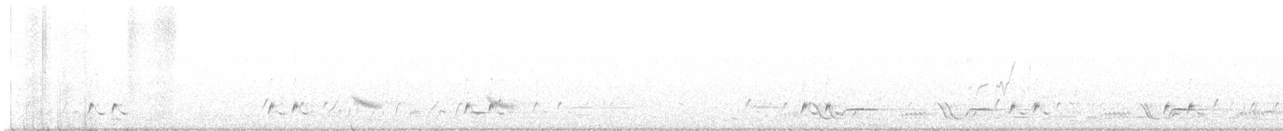 キボシホウセキドリ（ornatus） - ML620428150