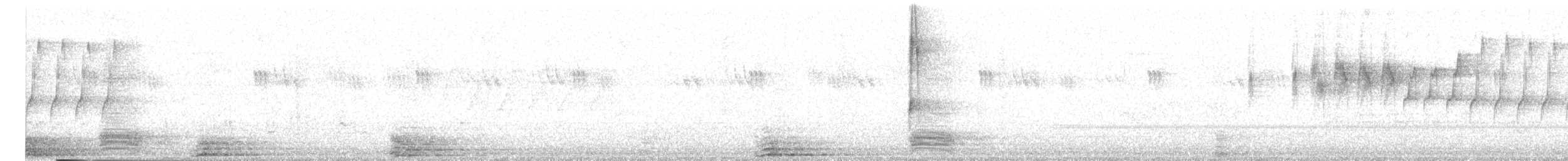 Атласная нектарница - ML620429769