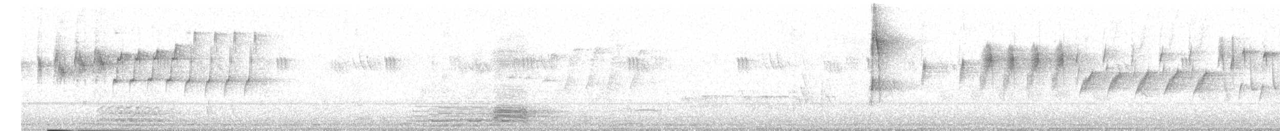 Атласная нектарница - ML620429782