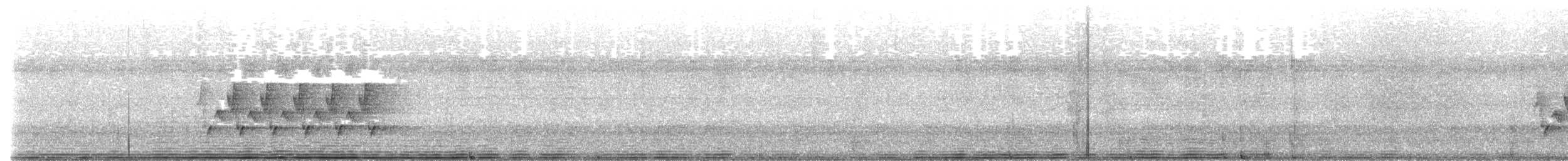 Поплітник каролінський - ML620430944