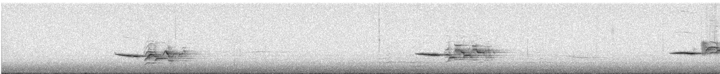 Дрізд-короткодзьоб плямистоволий - ML620431134