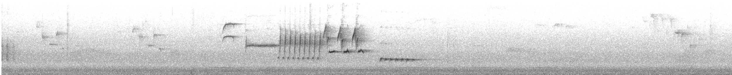 Troglodyte de Bewick - ML620432764