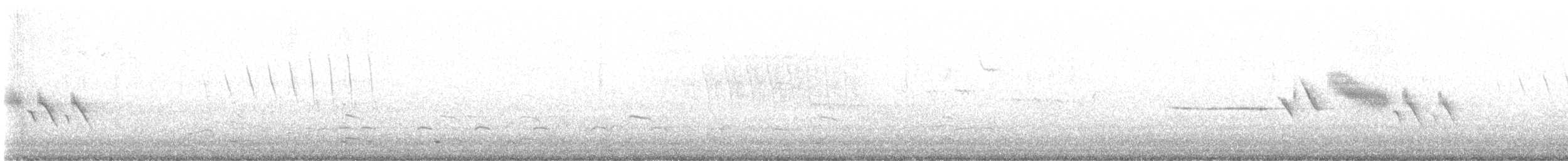 Бруант білобровий (підвид pugetensis) - ML620433690