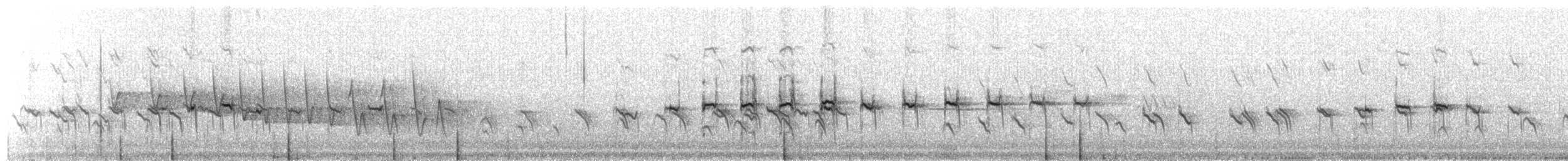 Stockente - ML620434131