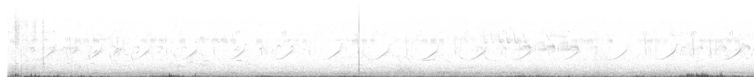 Black Francolin - ML620434465