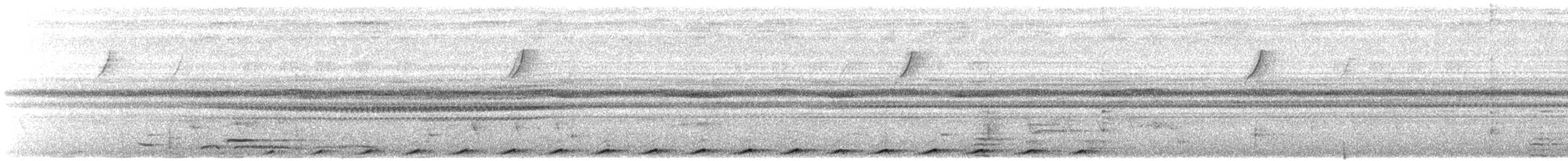 Little Cuckoo-Dove - ML620434848