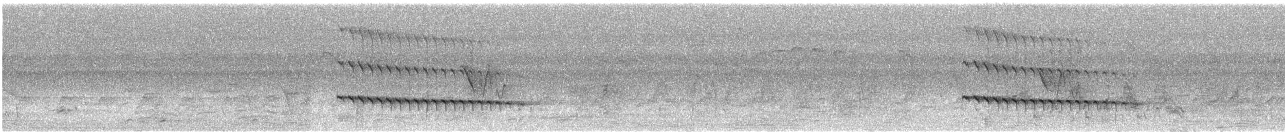 Alción de Esmirna - ML620437172