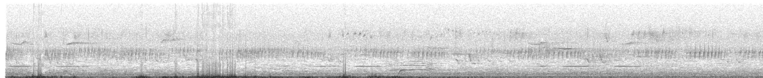Musk Duck - ML620440037