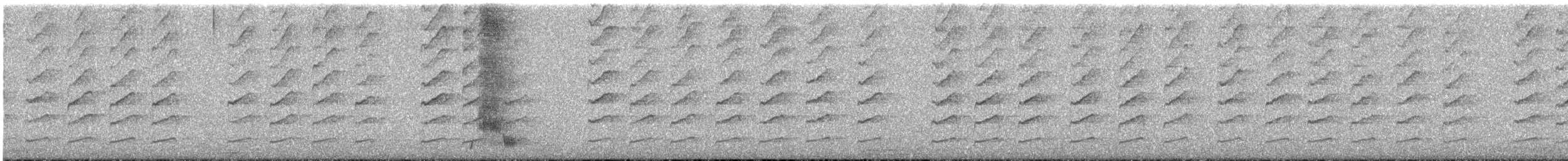 Méliphage à gouttelettes - ML620440421