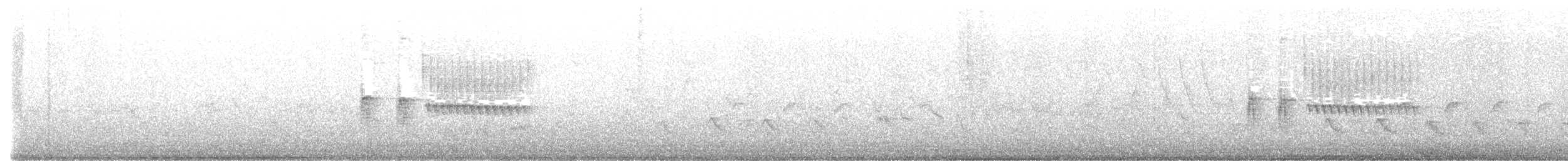Тауї плямистий - ML620446478