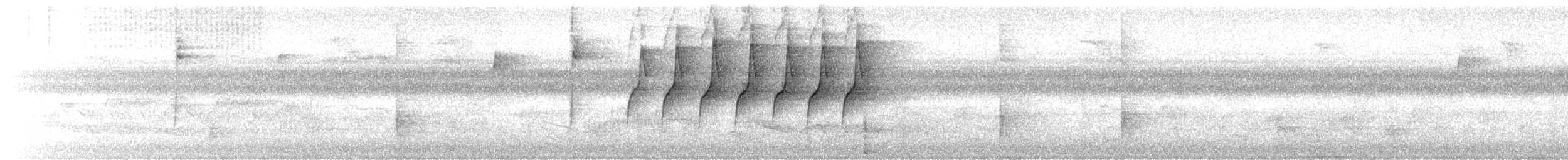 Protonoter Ötleğeni - ML620448900