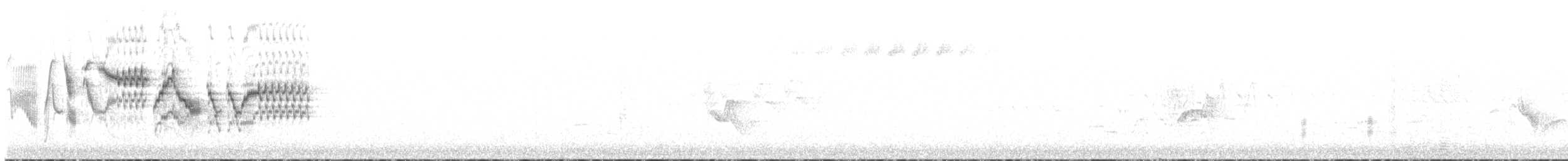 Дрізд-короткодзьоб канадський - ML620457884