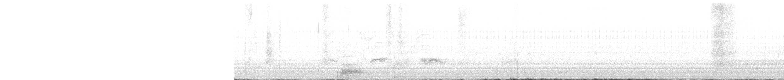 Weißbrustkleiber (aculeata/alexandrae) - ML620459400