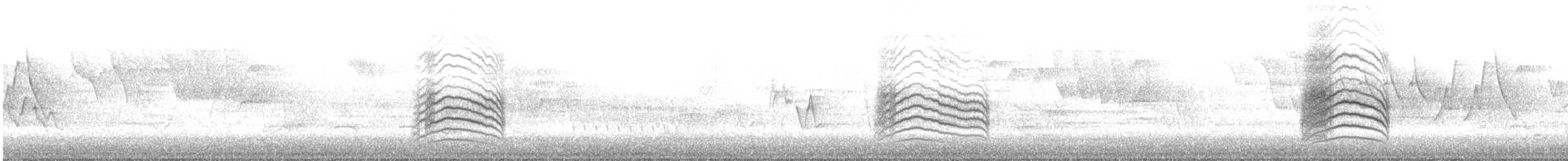 Miaulari grisa - ML620459926