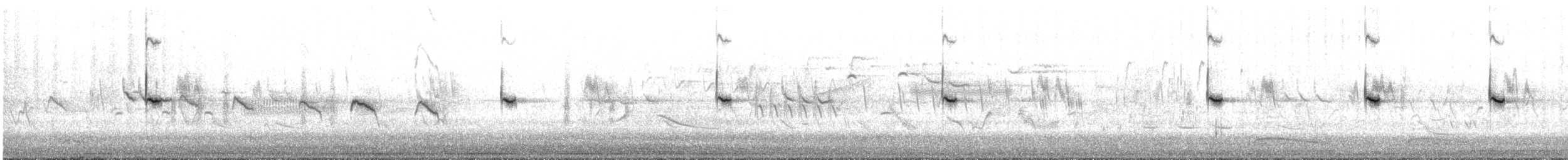 rødvingetrupial (phoeniceus gr.) - ML620459951