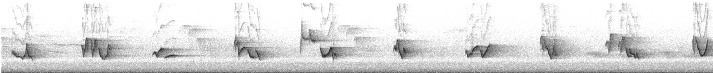 Vireo begigorria - ML620459981