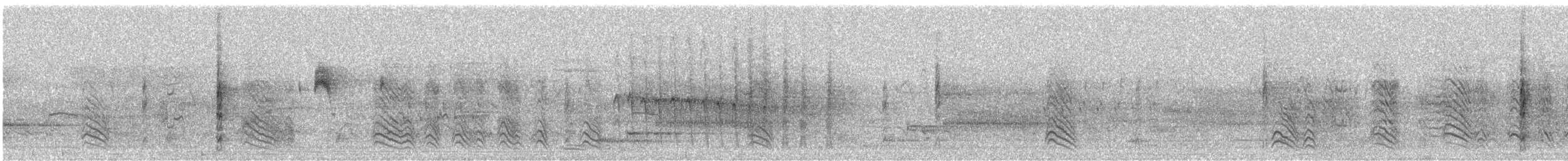 Amerikateichhuhn - ML620467969