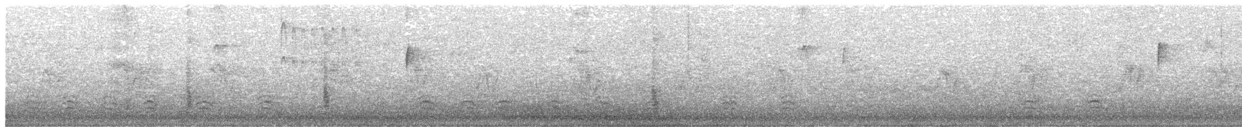 Weißbrustkleiber - ML620470518