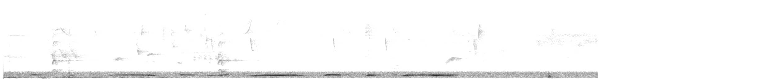 holub pikazuro - ML620471325