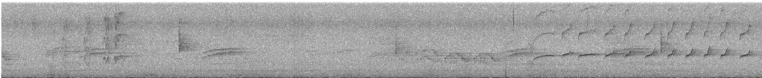 tyranovec východní - ML620473628