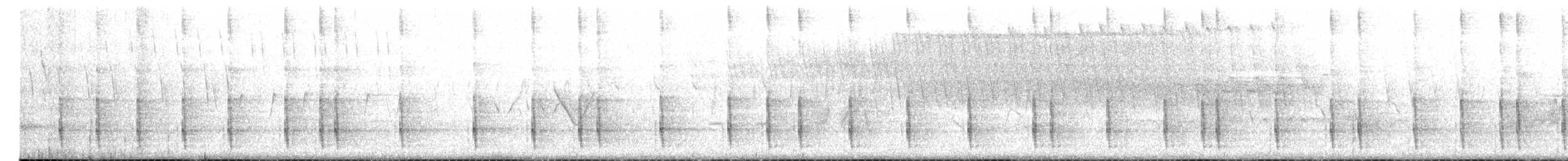 svartryggspett - ML620474577