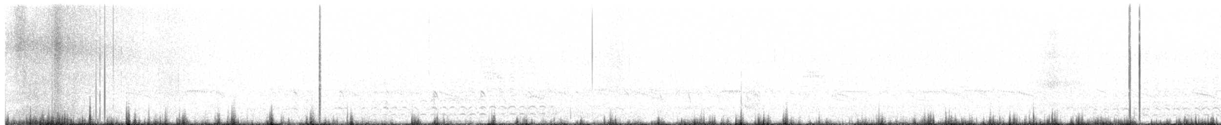 Istingor arrunta - ML620474848