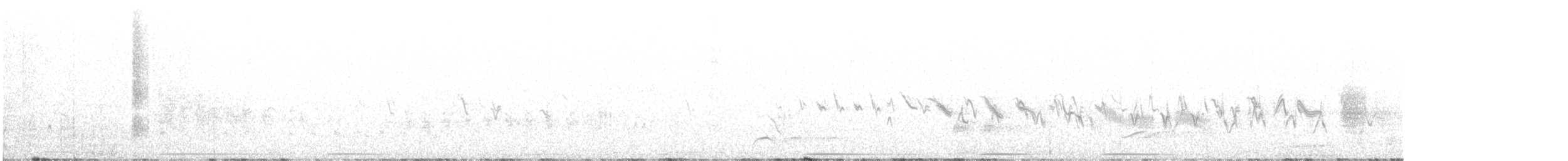 hýl rudoprsý [skupina mexicanus] - ML620475974