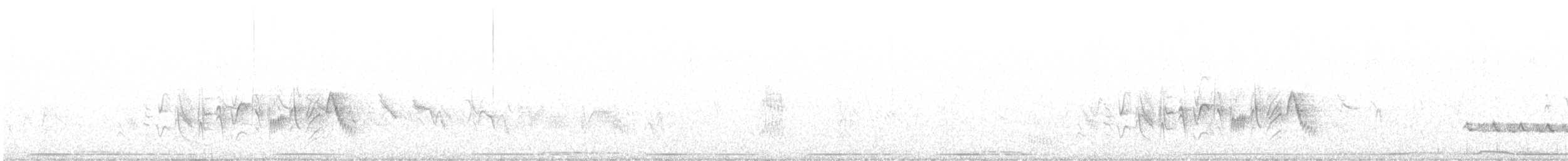 Віреон короткокрилий (підвид arizonae) - ML620476145