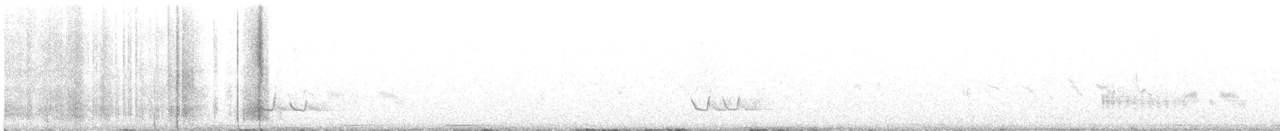 lesníček žlutoprsý (ssp. auricollis) - ML620476456