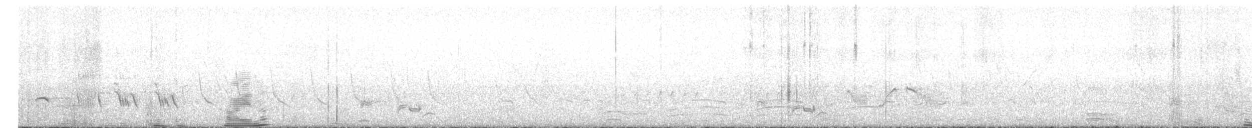 Fork-tailed Drongo-Cuckoo - ML620477324