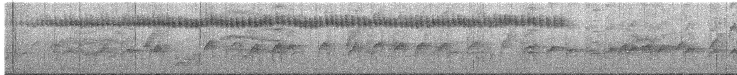 Buscarla Colicorta Asiática - ML620478852