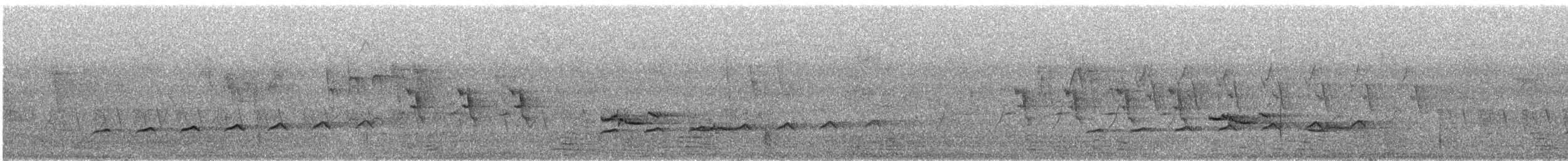 Вилохвостая дронговая кукушка - ML620479594
