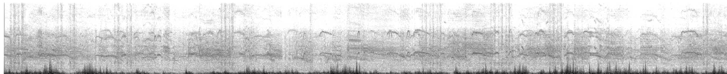 svartterne (surinamensis) - ML620483243