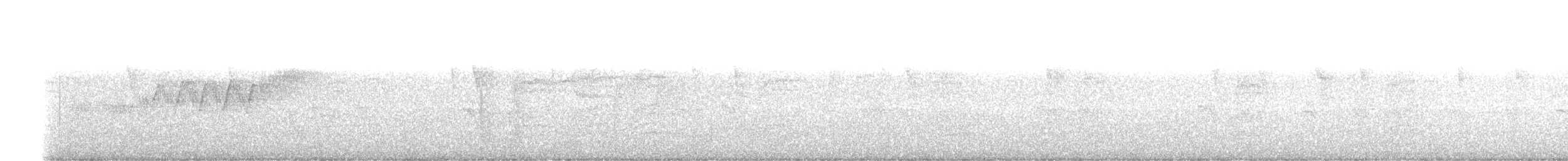 Cerulean Warbler - ML620486868