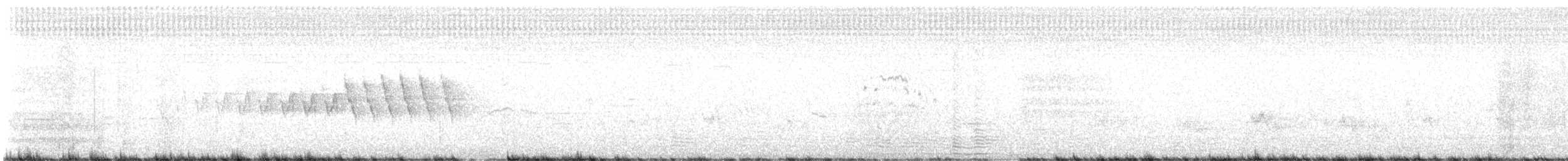 Grace's Warbler - ML620487782