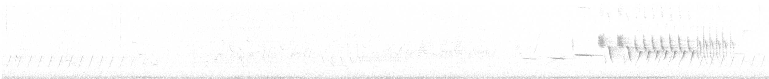 ホオジロ科（新世界ホオジロ類） - ML620487988