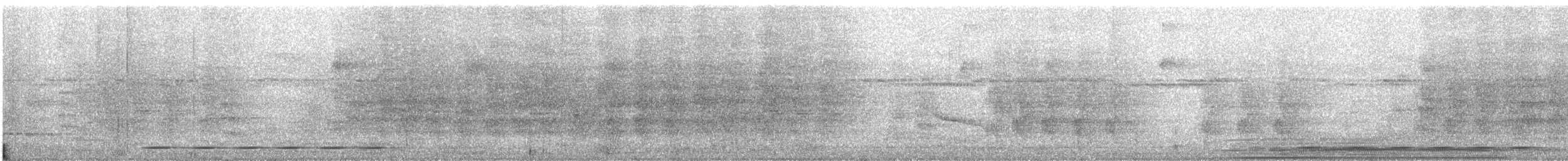Troglodyte rufalbin - ML620488315