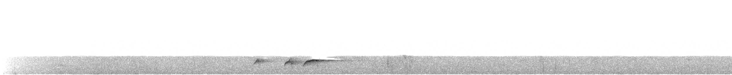 Tororoí sp.(Grallaria sp.) - ML620488342