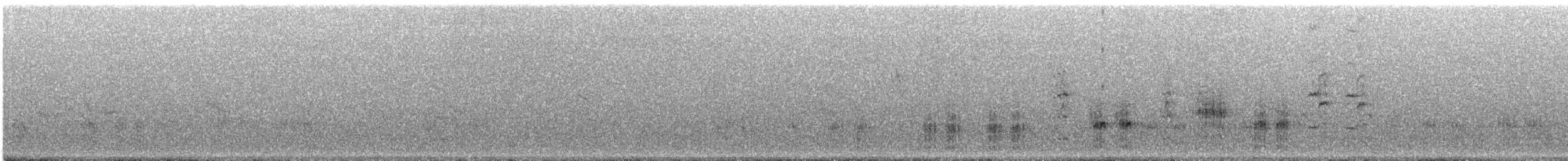 Great Reed Warbler - ML620488572