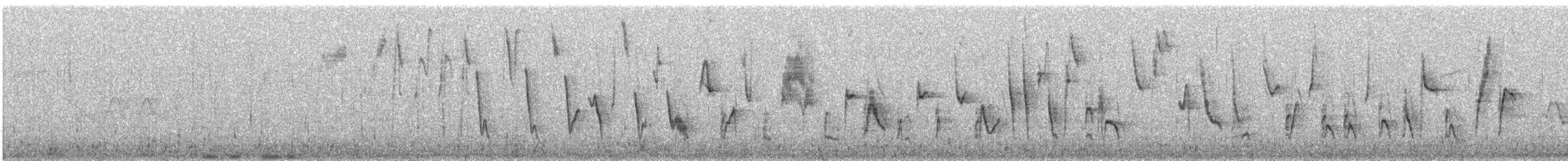 Tohi à nuque claire - ML620489398