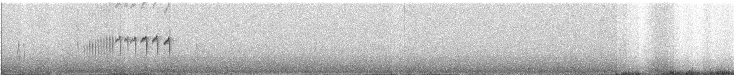 Kurzschwanz-Dickichtschlüpfer - ML620489715
