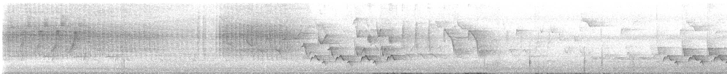 Protonoter Ötleğeni - ML620489913